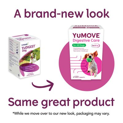 YuMOVE Digestive Care dla wszystkich psów