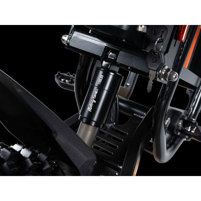 Minimoto eléctrica GT54 Pro - Para adolescentes y adultos - Motor de 3000 W - Batería de 60 V 25 Ah - Velocidad máxima 65 km/h - Frenos hidráulicos