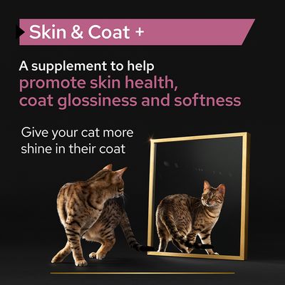 Purina Pro Plan Cat Adult Skin & Coat Supplement Oil