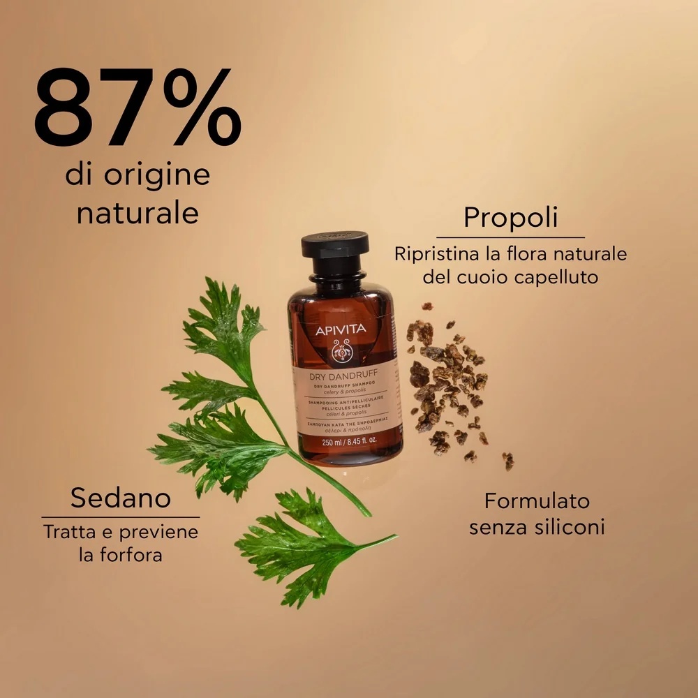 APIVITA Apivita Droogshampoo tegen roos Selderij en propolis 250 ml Droog fosfor