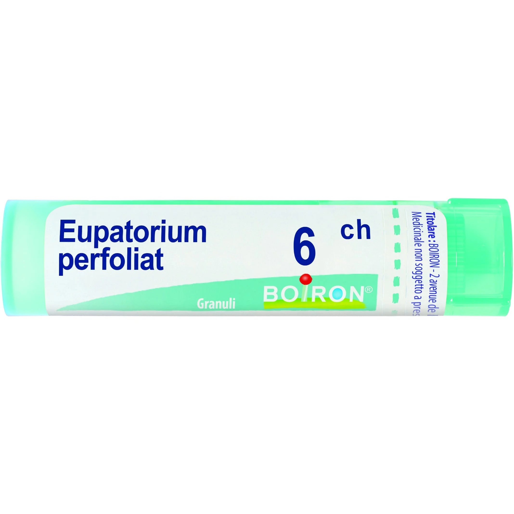 BOIRON Eupatorium Perfoliatum 6 Ch80 Gr