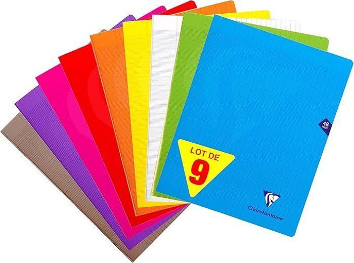 Quaderni spillati - CLAIREFONTAINE - Mimesys - 24x32 cm - 48 pagine - Copertine in polipropilene assortite