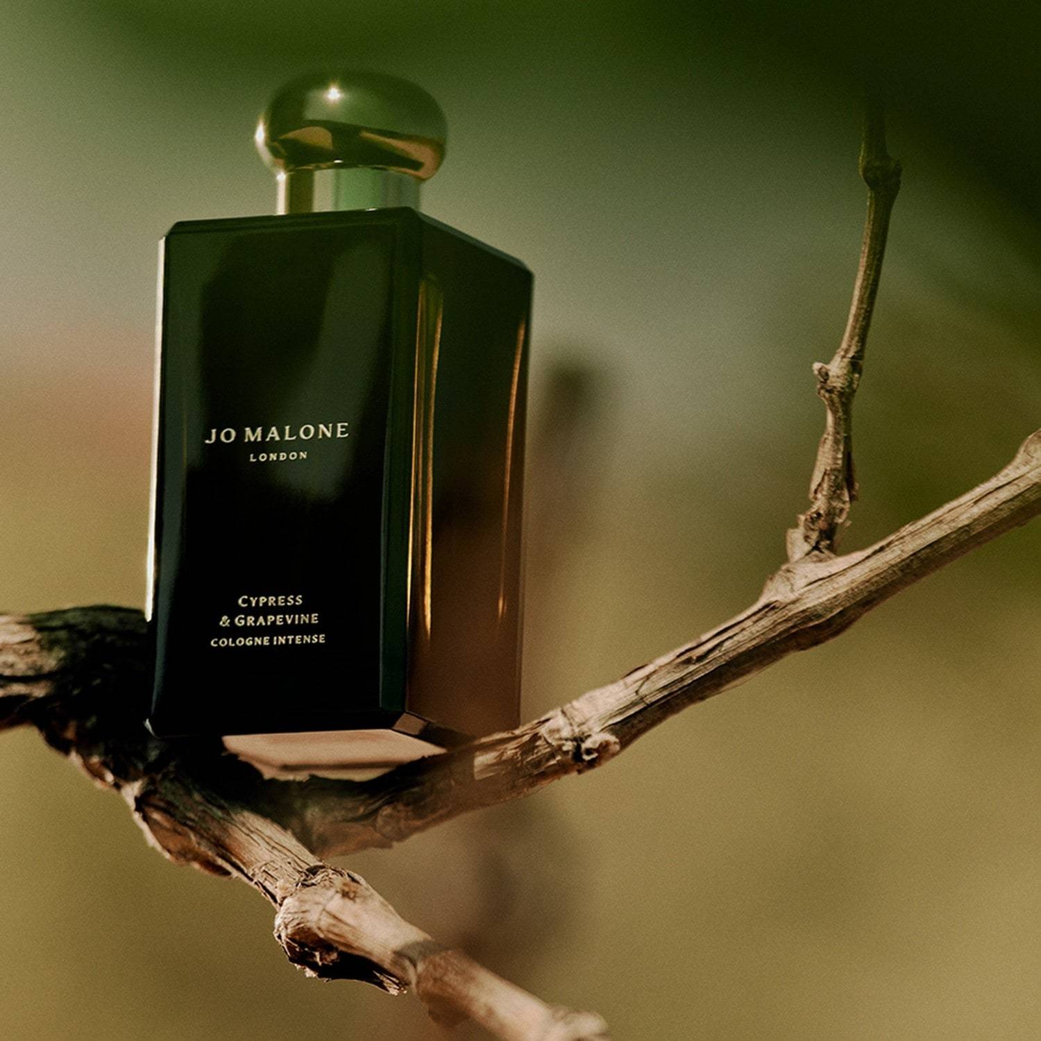 Jo Malone London Eau de Parfum Cologne Intense Cypress & Grape Vine – 10 ml