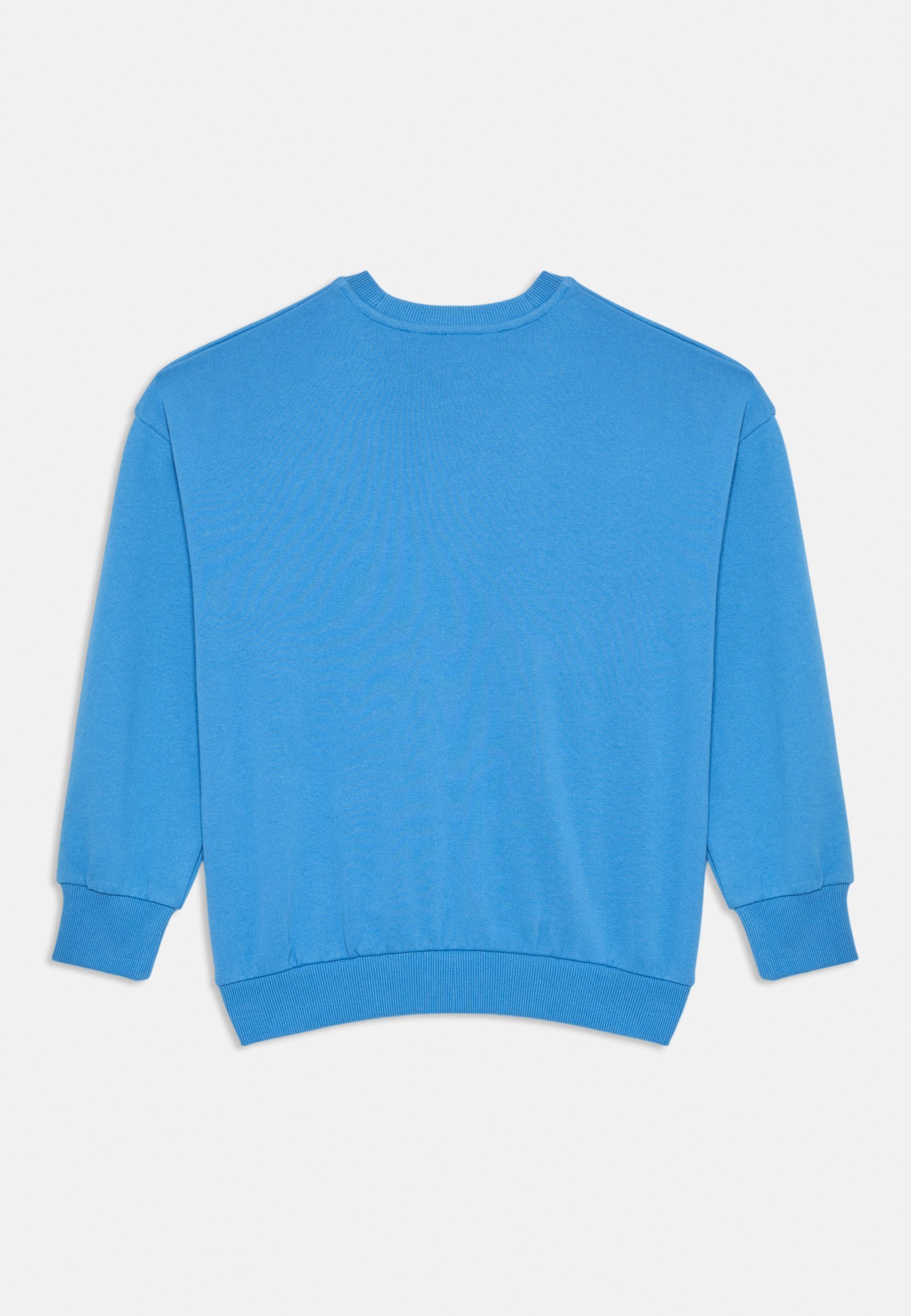 Mini Rodini DOG UNISEX - Sweatshirt - blauw