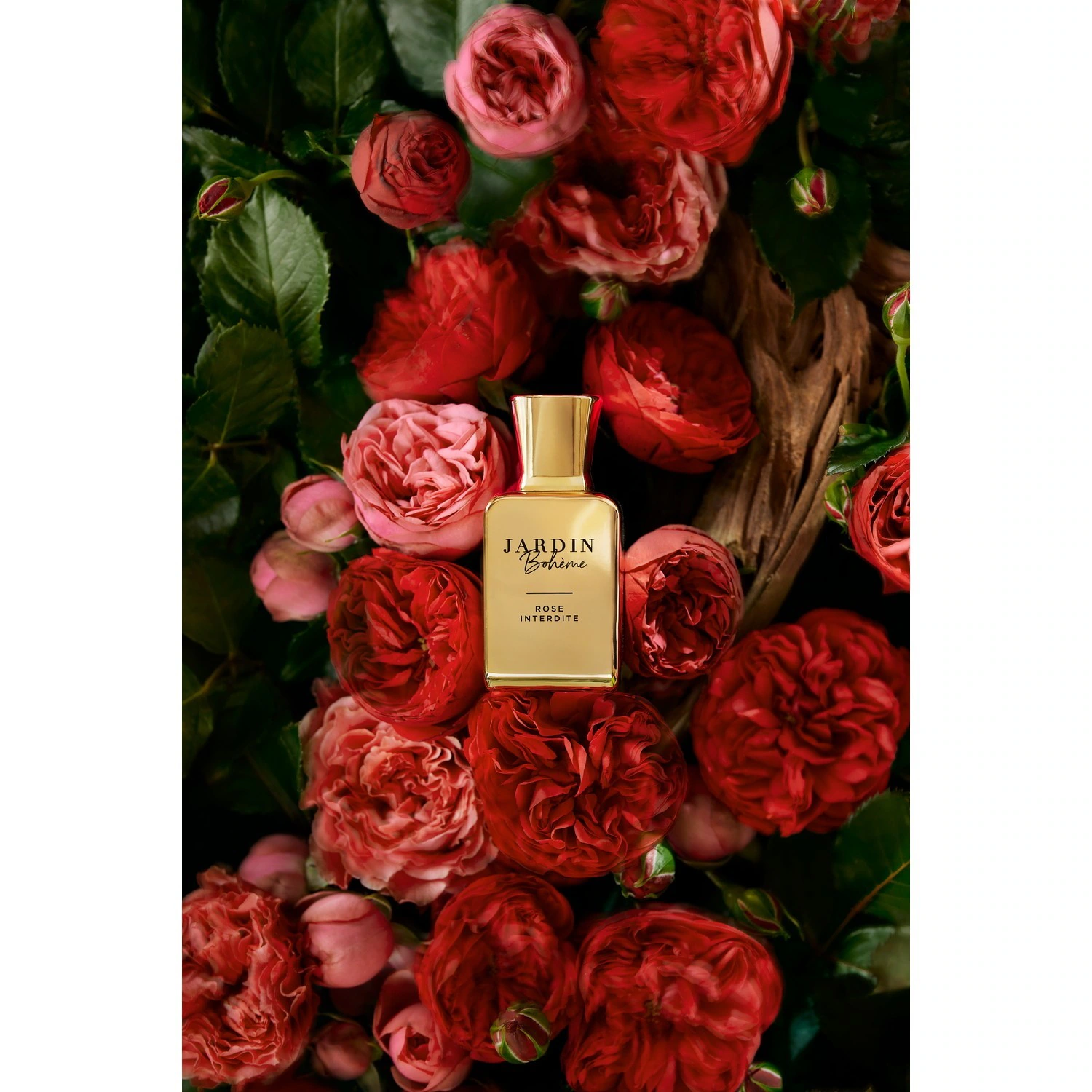 Jardin Bohème Rose Interdite