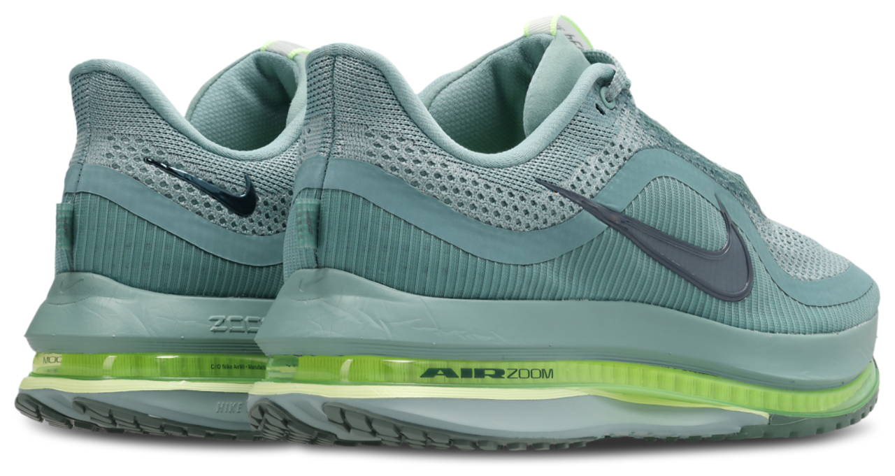 Nike Pegasus Premium