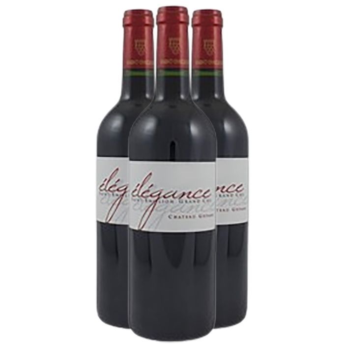 Château Gessan Saint-Emilion Grand Cru Élégance 2008 - Vin Rouge de Bordeaux (3x75cl)