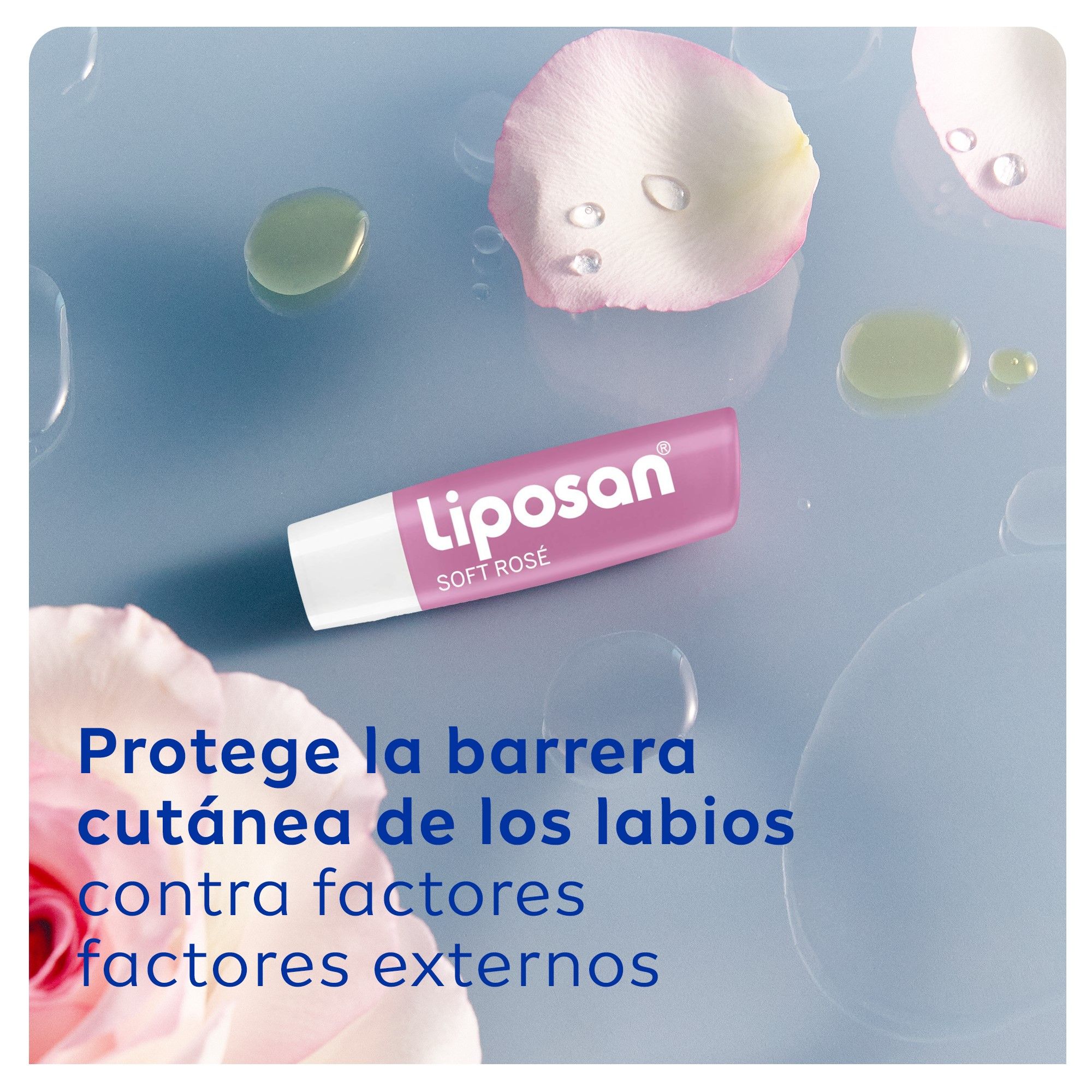 Balzam za ustnice Soft Rose Ustnice: balzami in nega