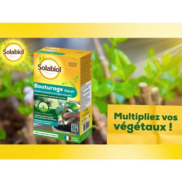 SOLABIOL Osiryl Esquejes - 40 ml - Rinde hasta 20 l de solución - Estimulador de raíces - Apto para su uso en esquejes y plantas trasplantadas