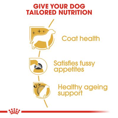 Royal Canin Yorkshire Terrier Erwachsene