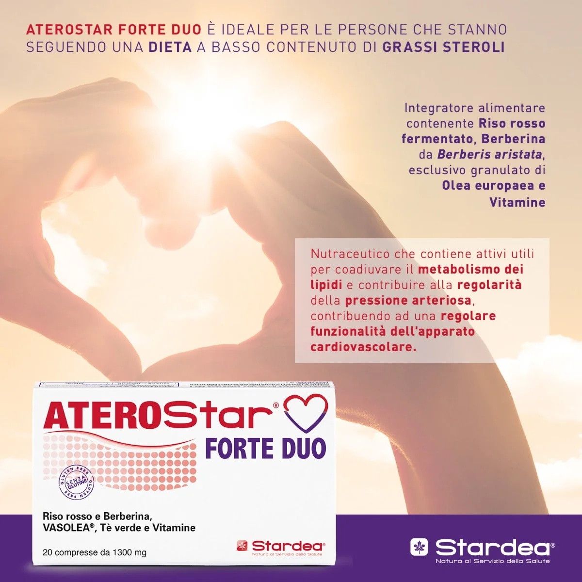 STARDEA Aterostar Forte Duo 20 tabletten voor cholesterolbeheersing