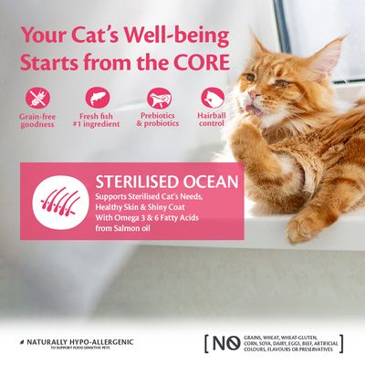 Wellness Core Adult Sterilisiertes Ocean Trockenfutter für Katzen