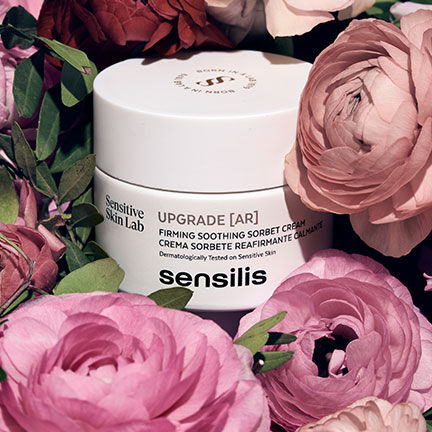 Sensilis-Upgrade