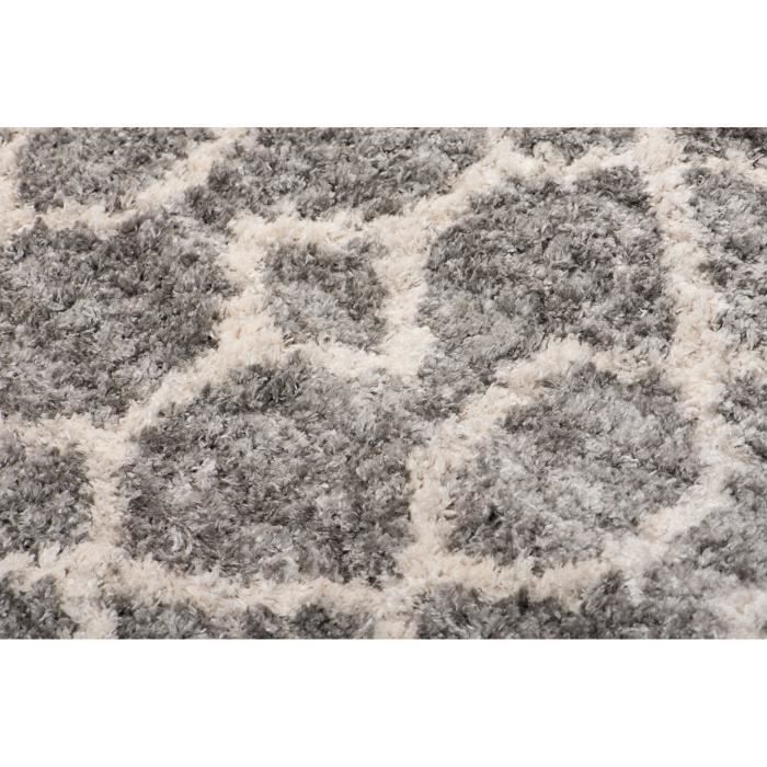 TAPISO Tapis Salon Poils Longs VERSAY Gris Foncé Crème Berbère Polypropylène Intérieur 200x300 cm