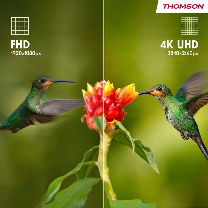 Thomson 50UG4S14 - TV LED da 50