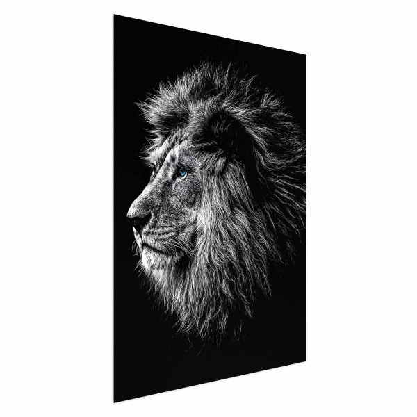 Plakat Niebieskooki lew 21x30 cm