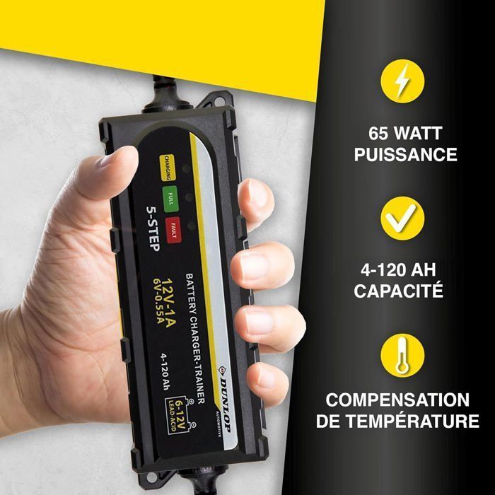 Chargeur batterie auto moto Maintien charge 6 et 12 volts