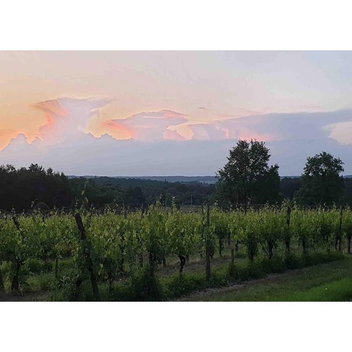 Château Chavrignac - Bordeaux Rouge AOC Bio - Or - Cuvée Bacchus 2022 - Biodynamie - Cabernet Sauvignon - 75cl (x6)