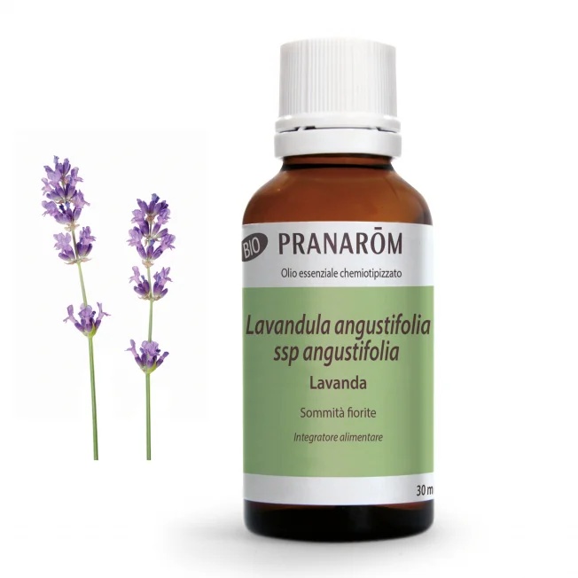 PRANAROM Pranarom Lavendel 30 ml Biologische etherische olie