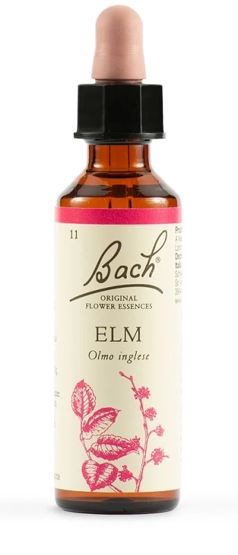 SCHWABE Schwabe Bachblüten 11 Ulmentropfen 20 ml