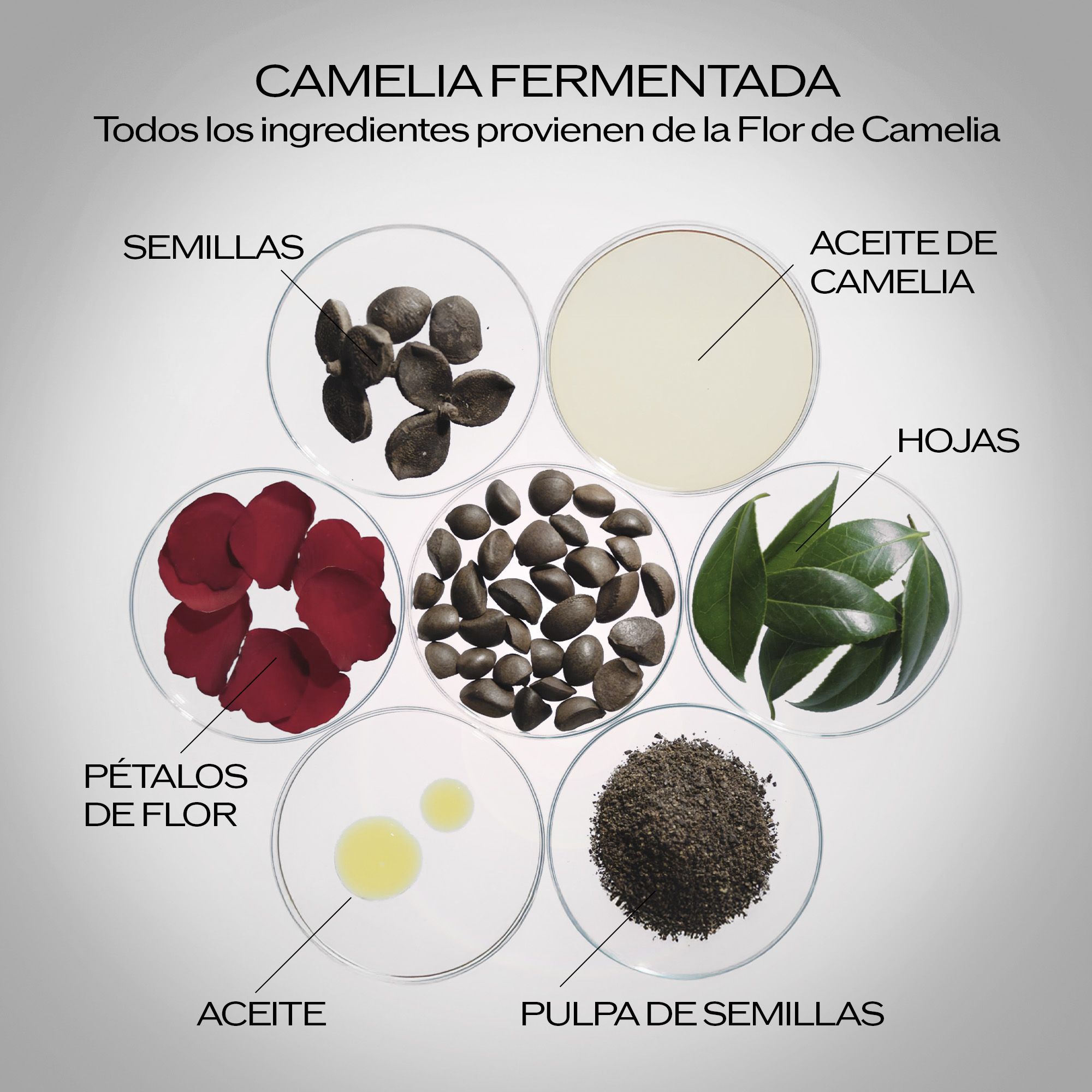 Ultimune Power Infusing Concentrate pretnovecošanās serums Grezns līdzeklis pret grumbām un novecošanos