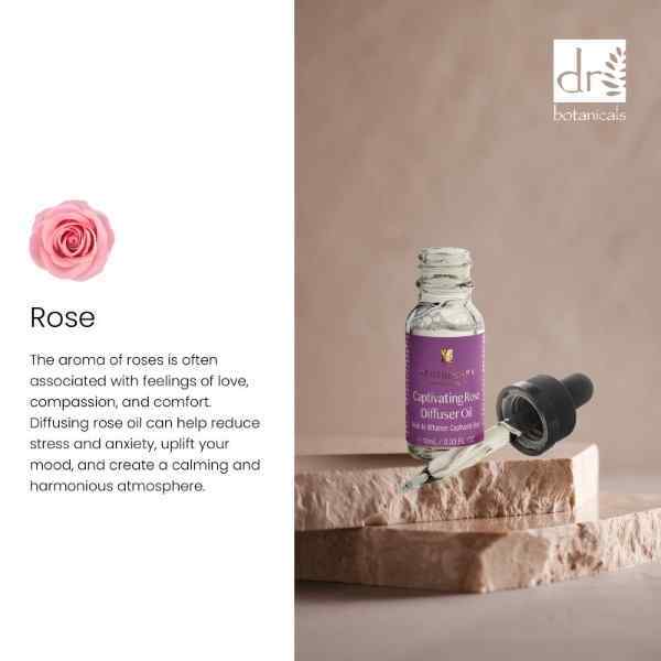 Aceite difusor Dr Botanicals Captivating Rose Duo 2 x 10 ml | Salud | Superdrug