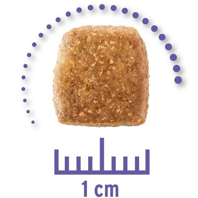 Dieta weterynaryjna Concept for Life dla psów na nerki
