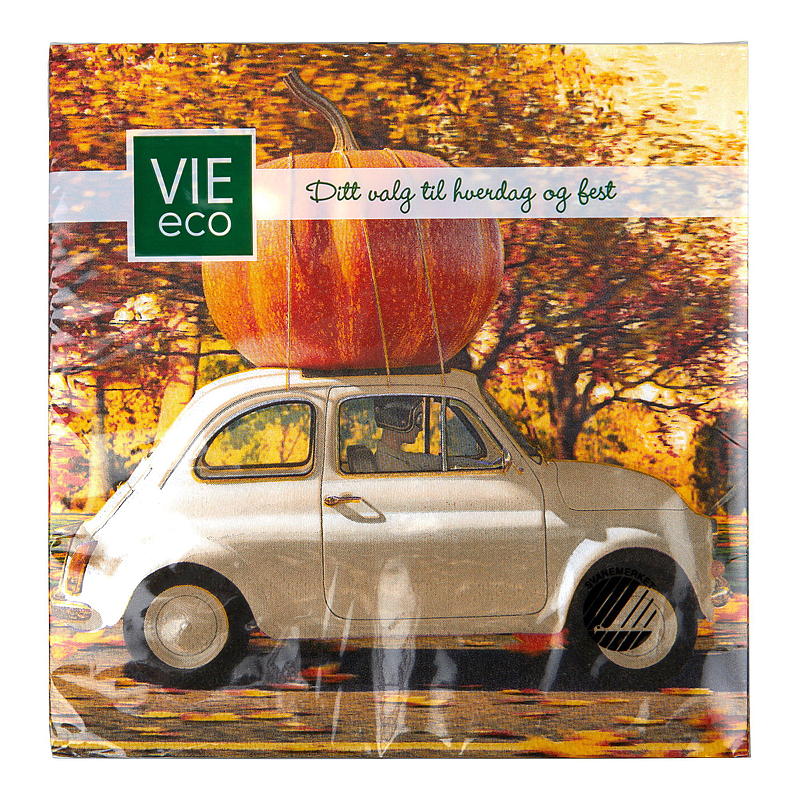 Vie Eco -lautasliinat 20 kpl 33x33 cm, talvi