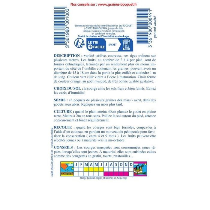 Graine - Semence - Courge Longue de Nice