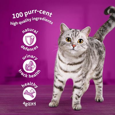 Whiskas 7+ Bustine Senior al gusto gelatina