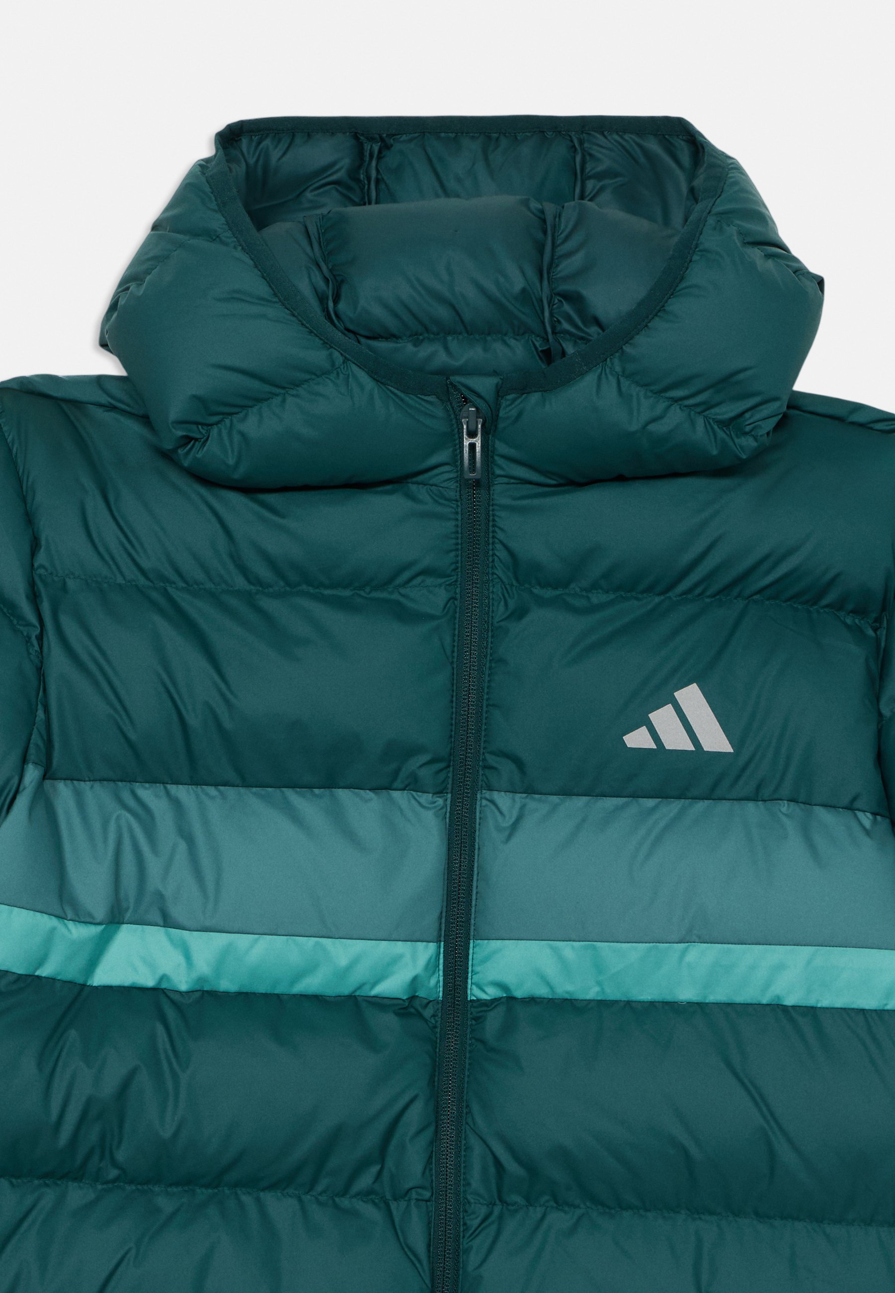 adidas Performance JACKET JUNIOR UNISEX - Winterjas - aurora ivy/preloved teal/powder teal