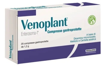 VENOPLANT Venoplant 20 comprimés de 1,2 g Complément alimentaire pour favoriser la microcirculation