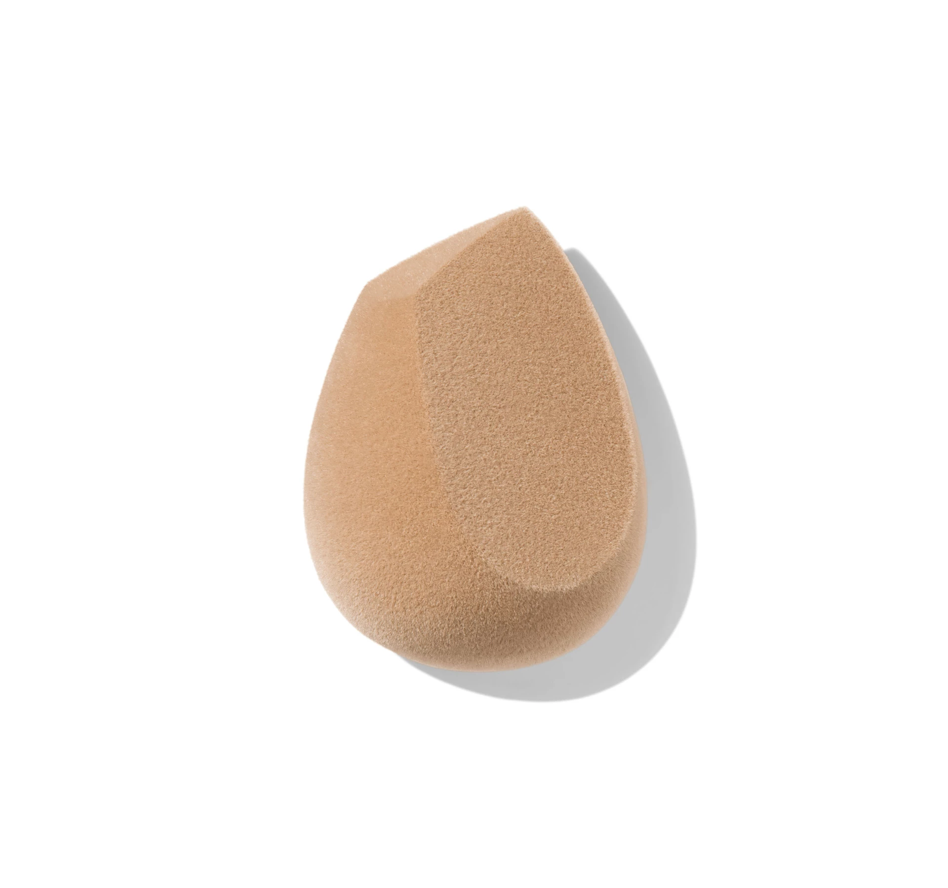Mikropluošto grožio kempinė - Morphe