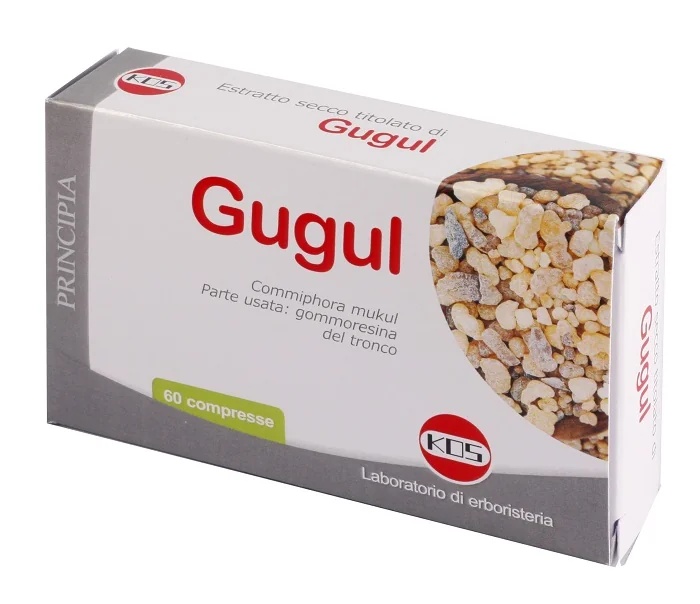 KOS Guggul droog extract 60 tabletten