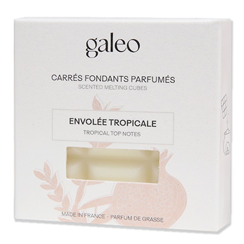 Galeo Carrés fondants parfumés envolée tropicale