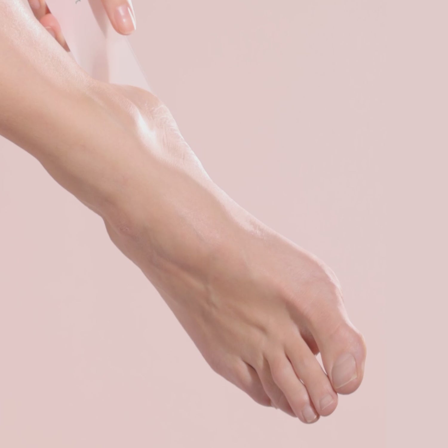Lime pieds en verre