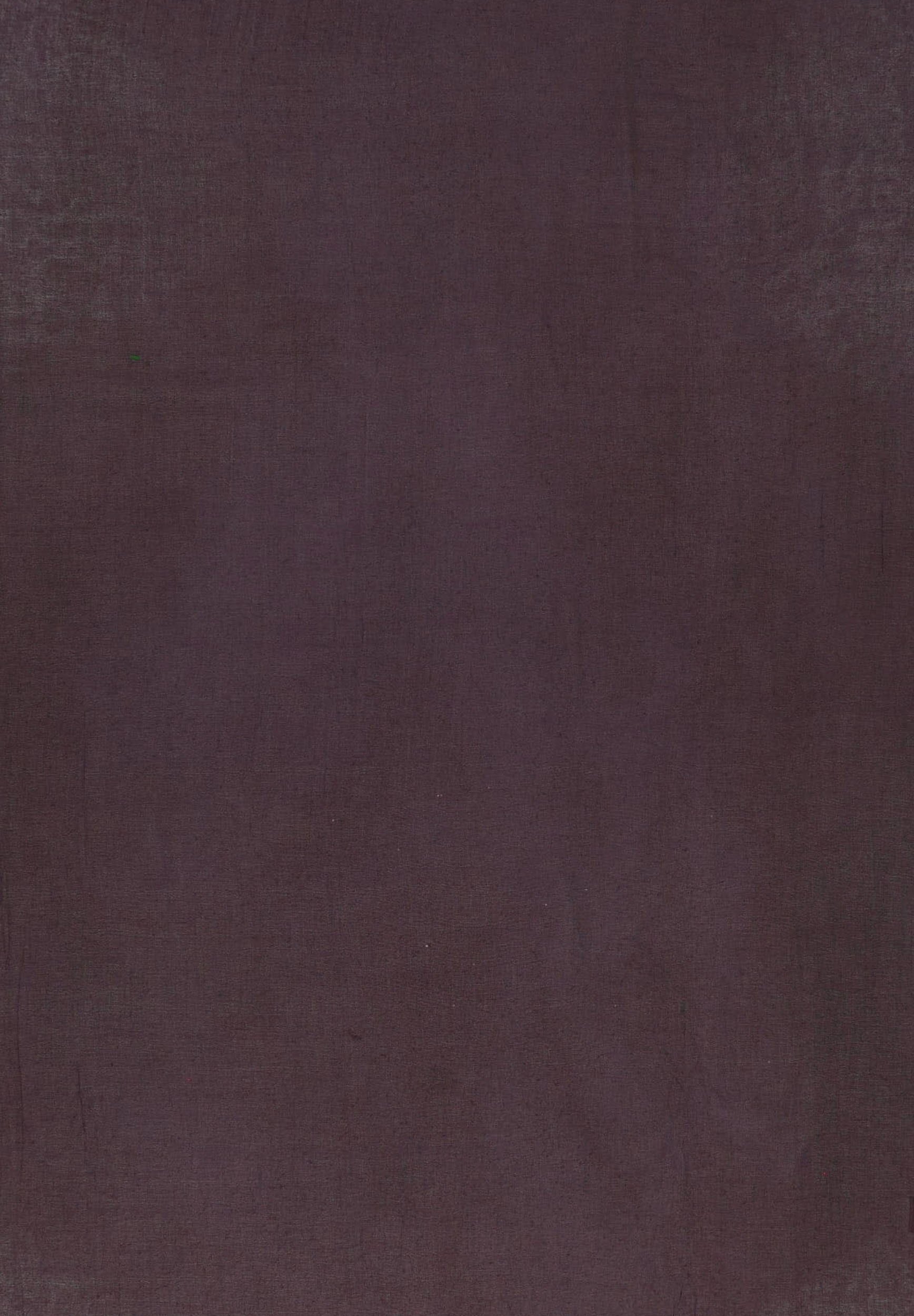 FRAAS EINFARBIGE STOLA - Écharpe - wild berry