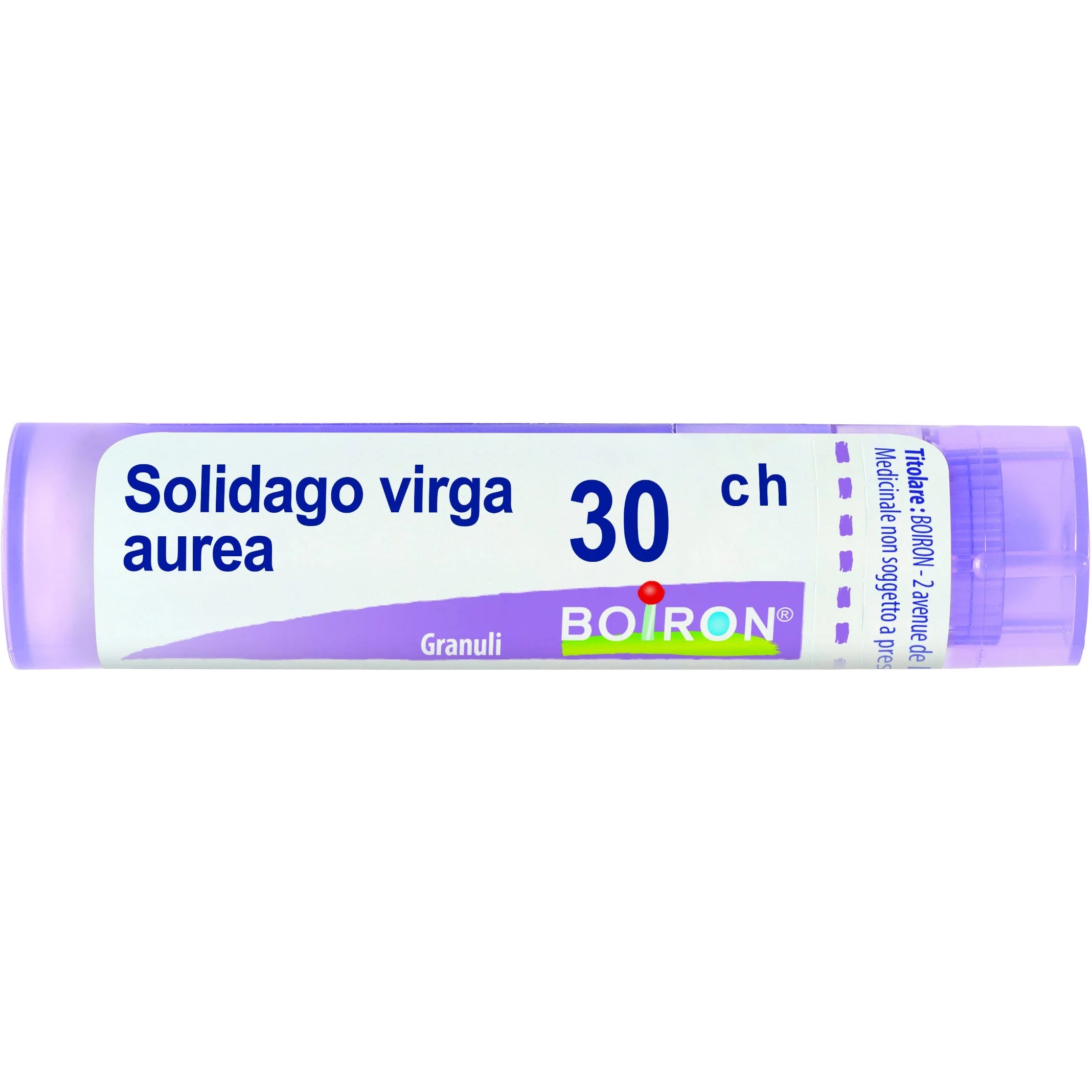 BOIRON Solidago Virga Aurea 30Ch granulés