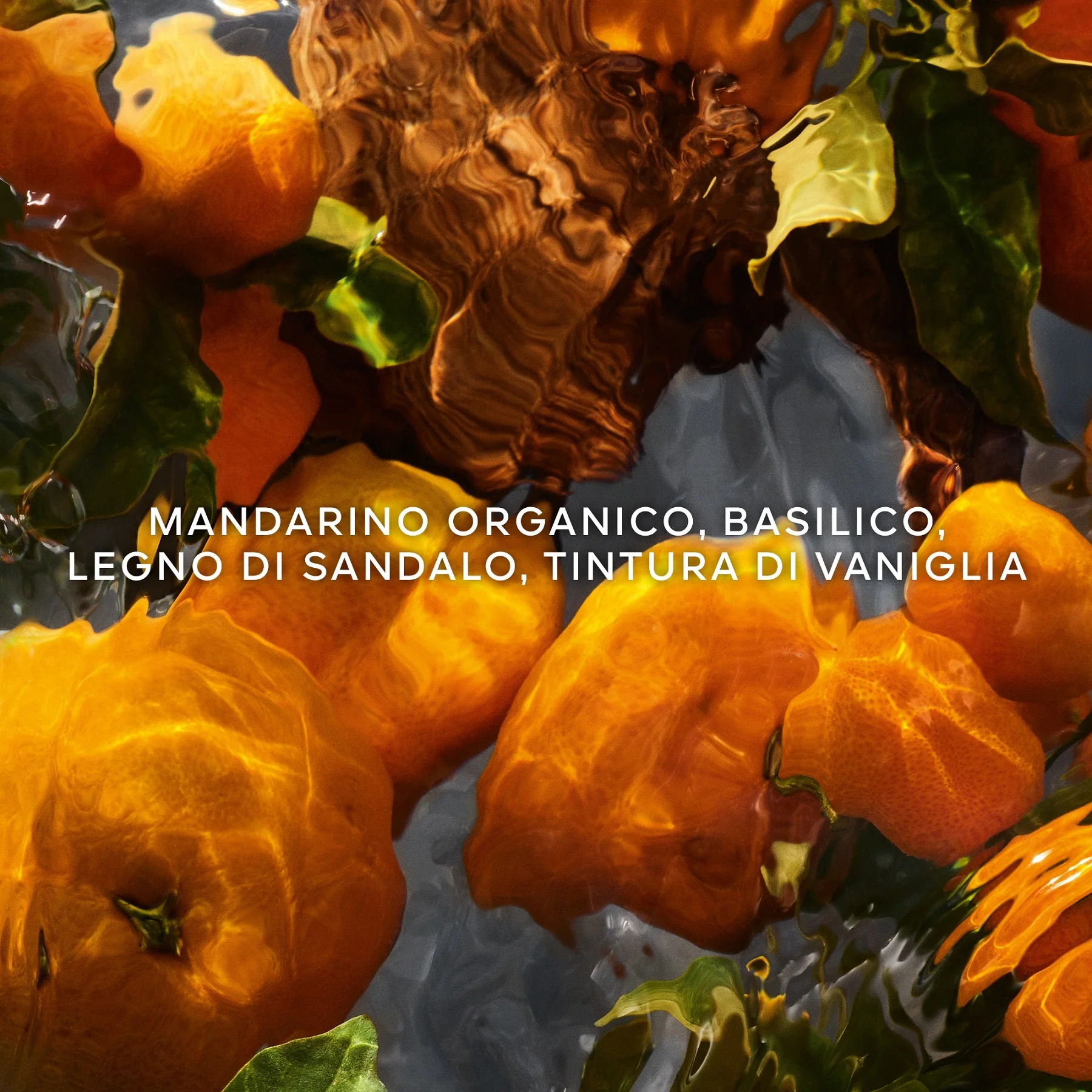 Aqua Allegoria Mandarine Basilic Forte - Eau de Parfum - Eau de Parfum
