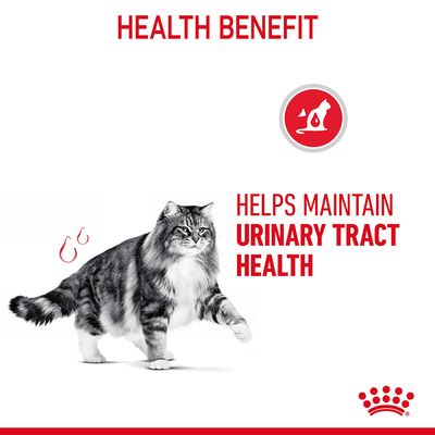 Royal Canin Urinary Care -ruoan kastikkeessa