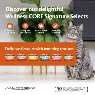 Hrană umedă Wellness Core Signature Selects pentru pisici adulte