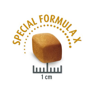 Concept voor Leven Voordelige Pakketten