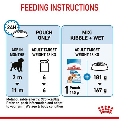 Royal Canin Cucciolo di taglia media in salsa