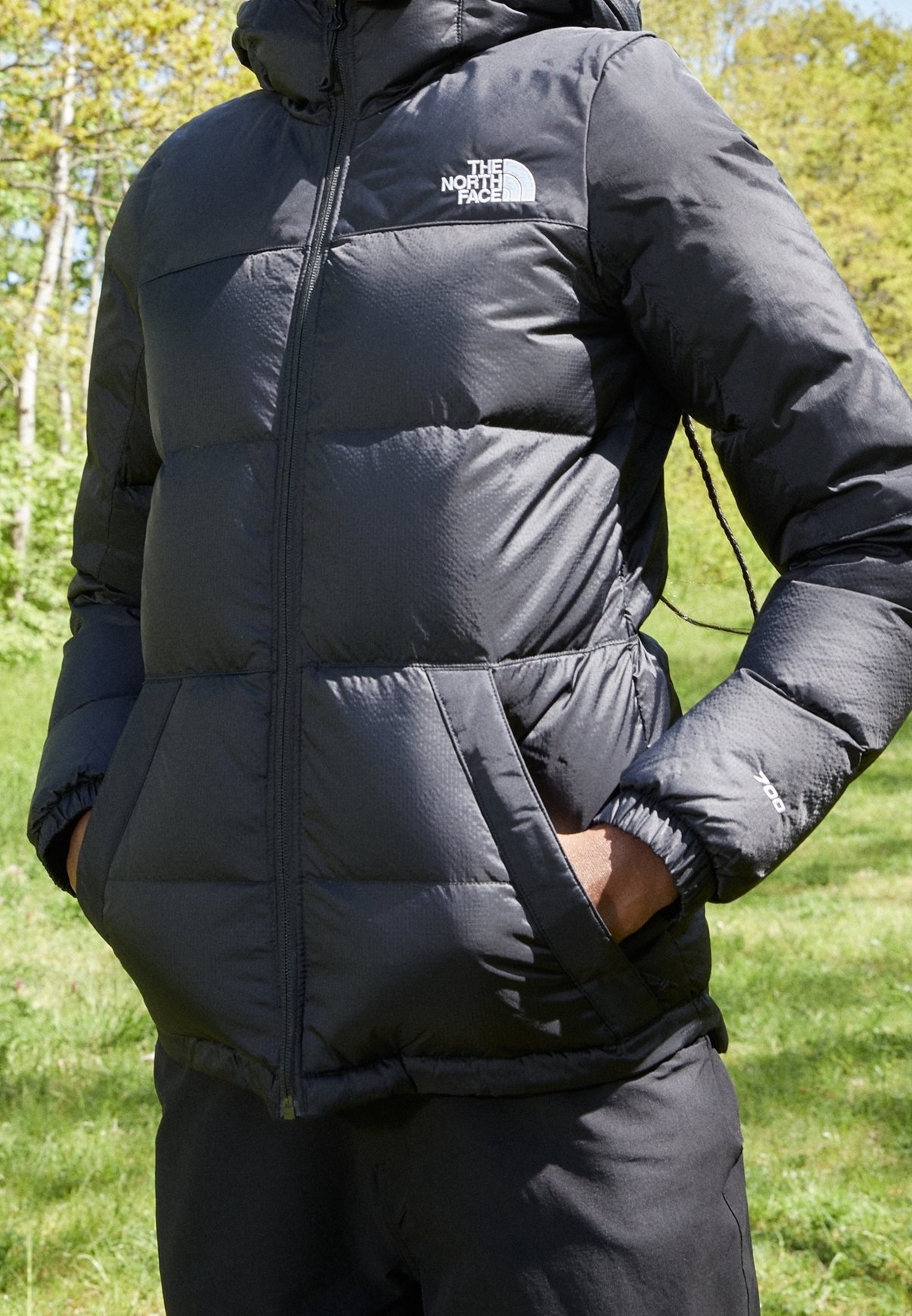 Jaqueta de plumas The North Face - preta