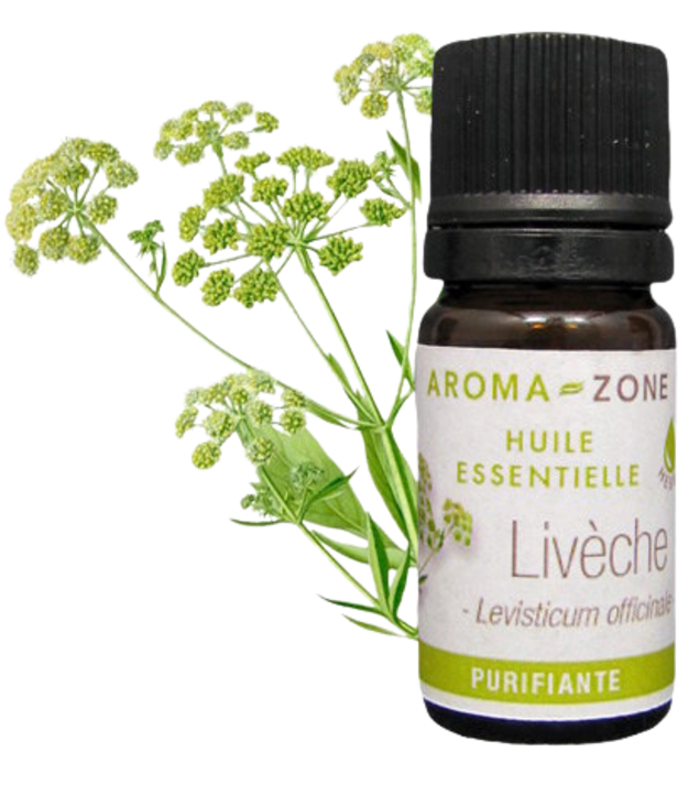Huile essentielle Livèche 2ml