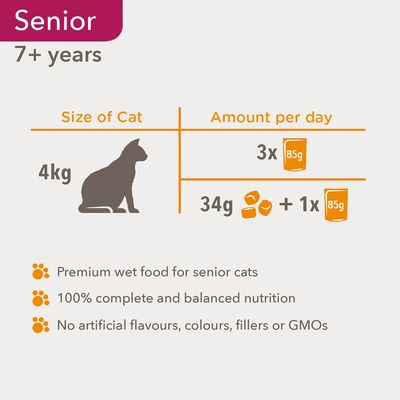 IAMS delizia la collezione Senior Land & Sea in salsa