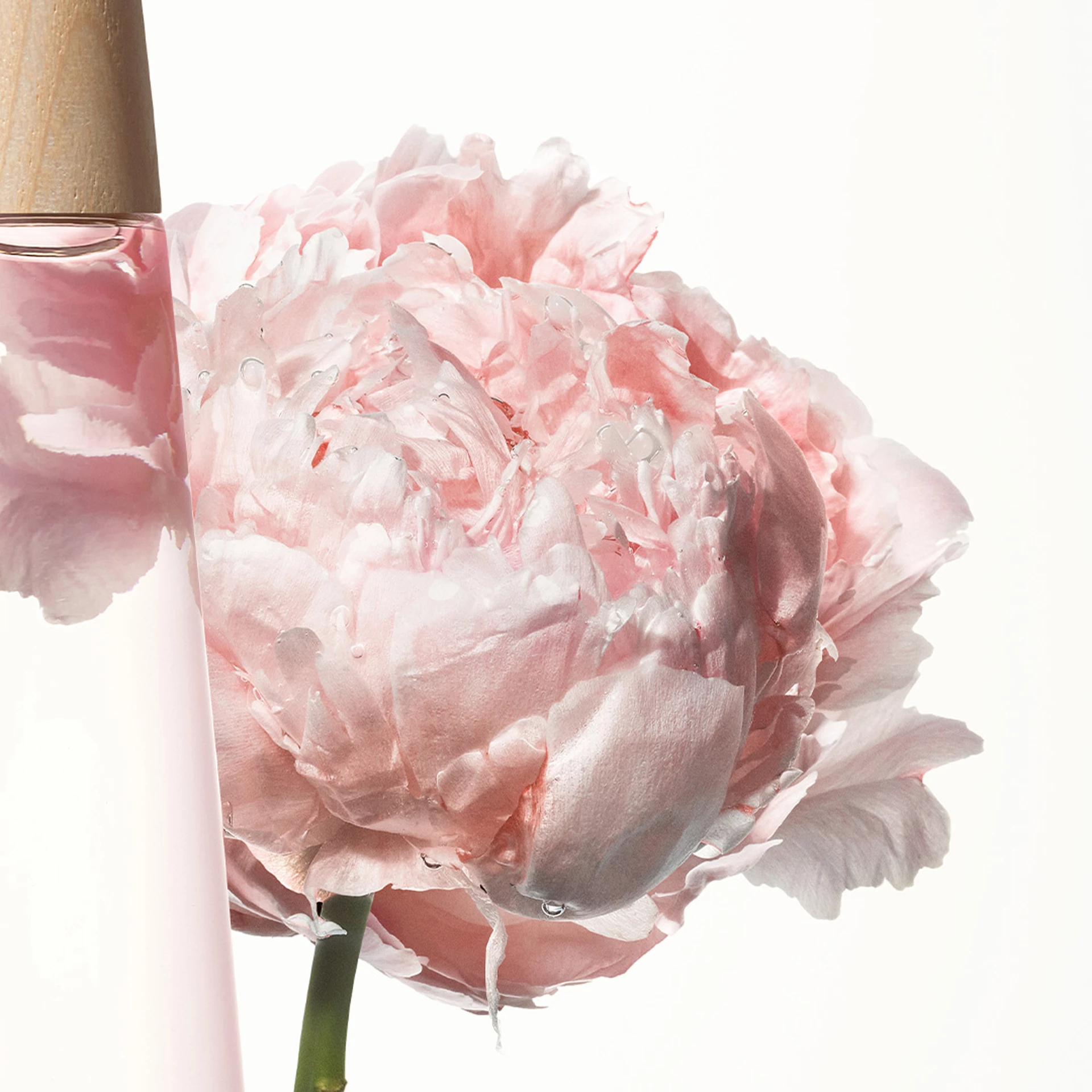 L'Eau D'Issey Pivoine EdT 50 ml - Issey Miyake