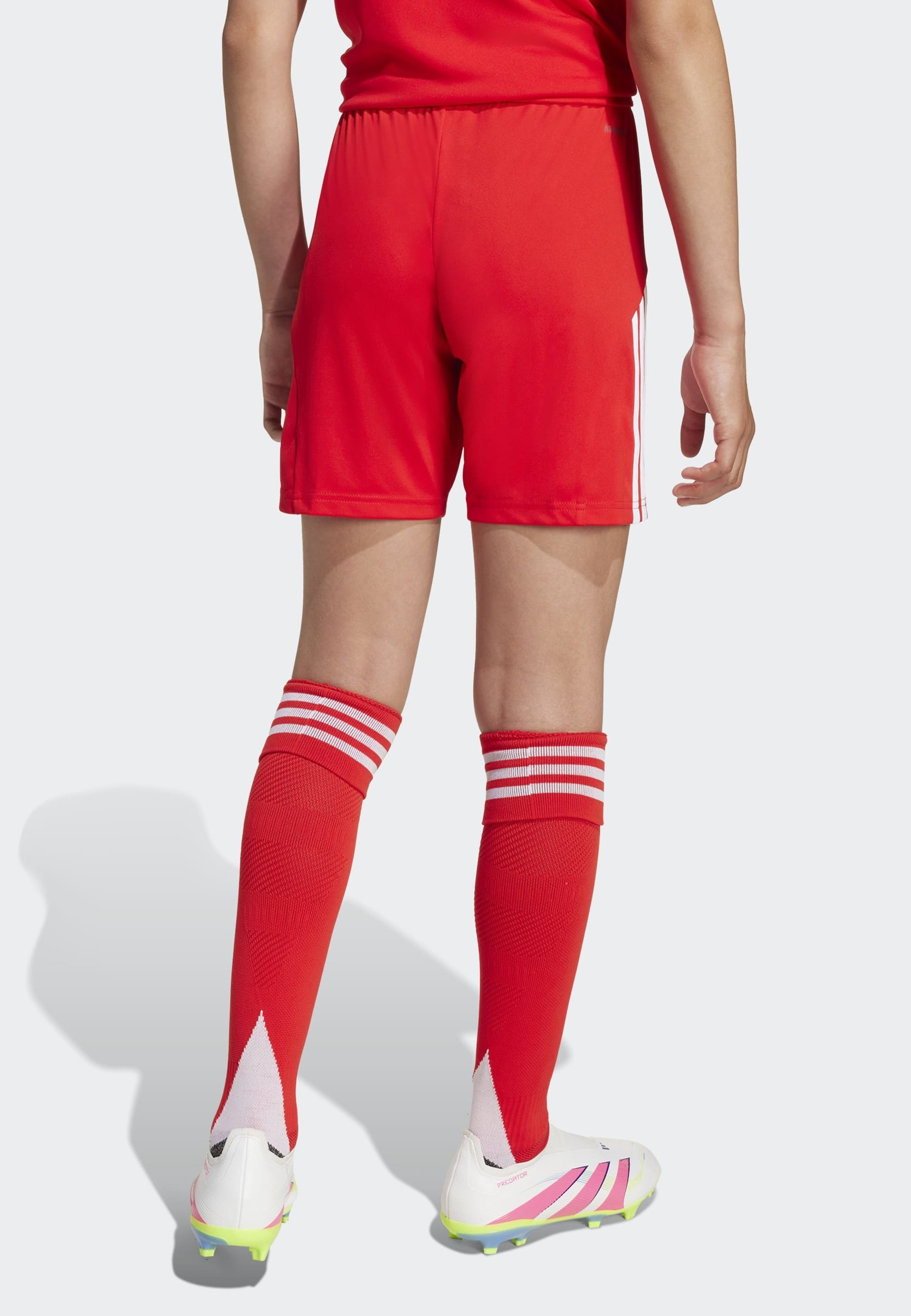 adidas Performance FC BAYERN - Sportske kratke hlače - crvene