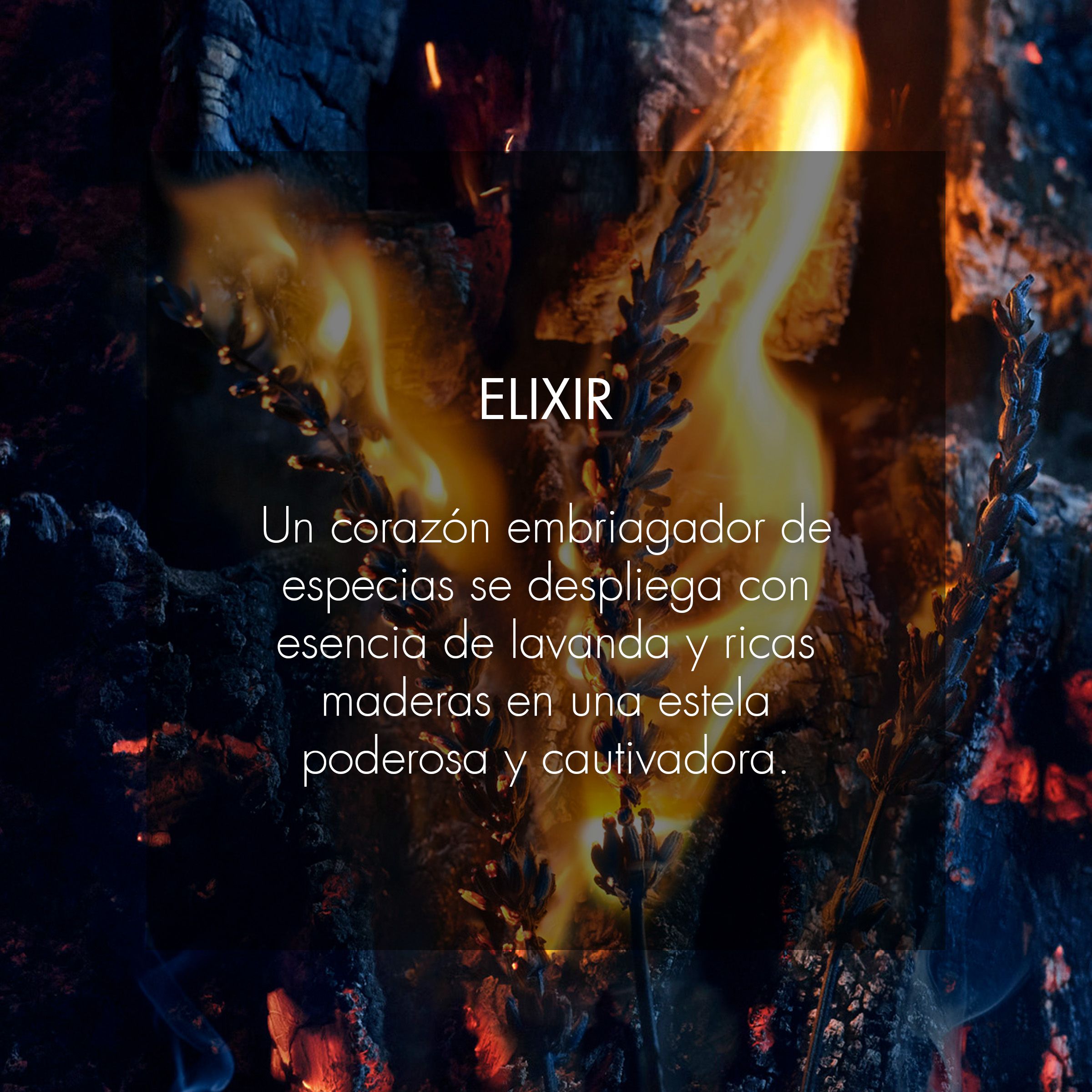 Dior Sauvage Elixir Parfum Parfemi za muškarce
