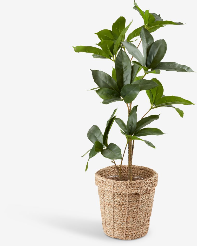 ERIK Posuda za cvijeće ERIK Ø25xV24cm priroda